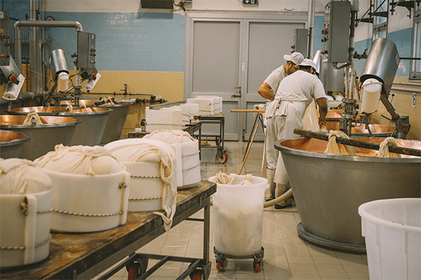 Das Innere einer Käserei mit zwei Arbeitern, die Sicherheitsschuhe tragen.